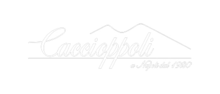 Caccioppoli logo .PNG 2