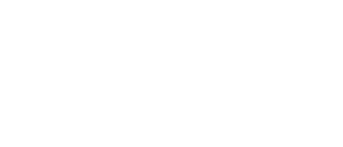 Dandy Fabrics logo